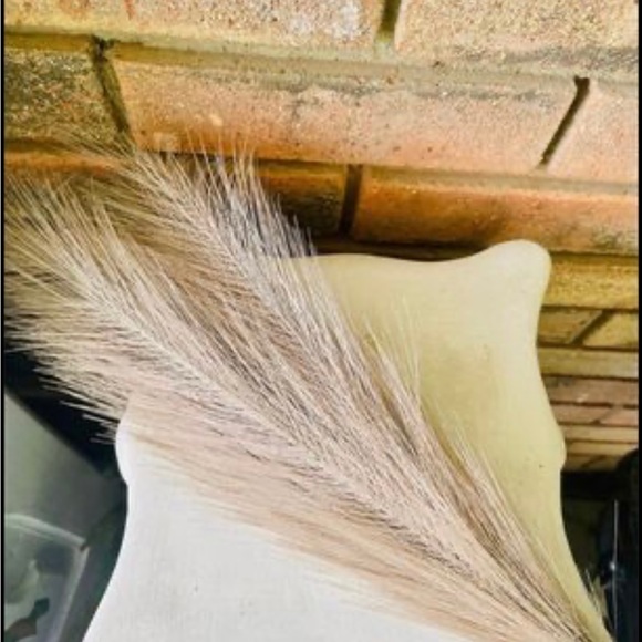 *Pampas Grass Pick, 28”, Bundle of 3 - Picture 9 of 10